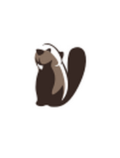 DBeaver Database Management