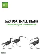 Java For Small Teams(英文)