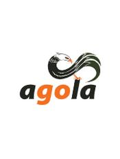 Agola v0.5 Document