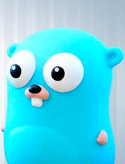 GORM 1.0 中文文档