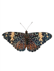 httpx v0.28 documentation