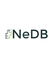 NeDB Document