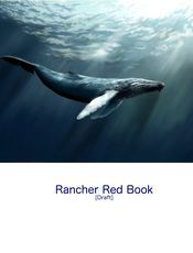 Rancher 实战红宝书