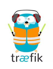 traefik v2.3 document